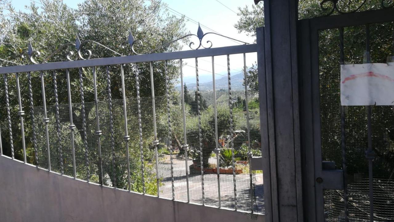 Вілла La Casa Tra Gli Ulivi Di Fonte Nuova 2 Mentana Екстер'єр фото